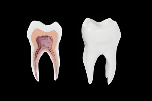 Expert Root Canal Treatment by Dentists at CDIC Islamabad